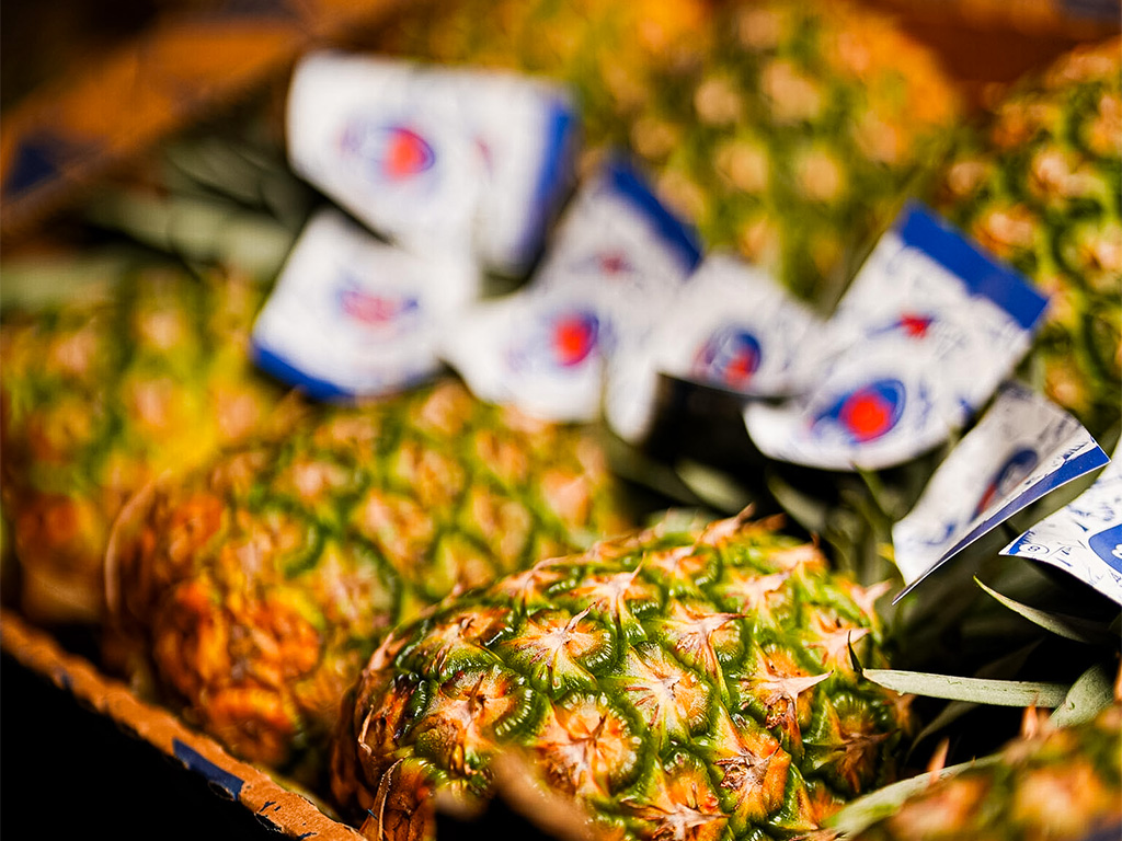 ananas - fruits et légumes grossiste rungis
