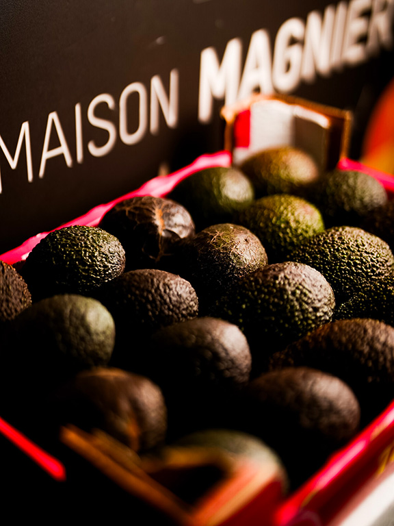 avocats maison magnier - primeur rungis fruits et légumes