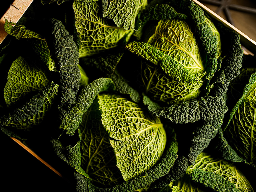 choux - les jardins d'albert primeur rungis