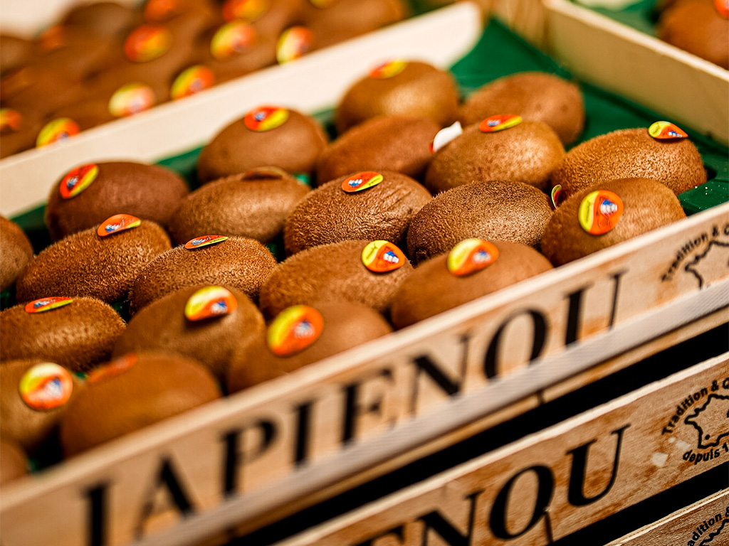 kiwis - grande distribution magnier distribution - grossistes fruits et légumes