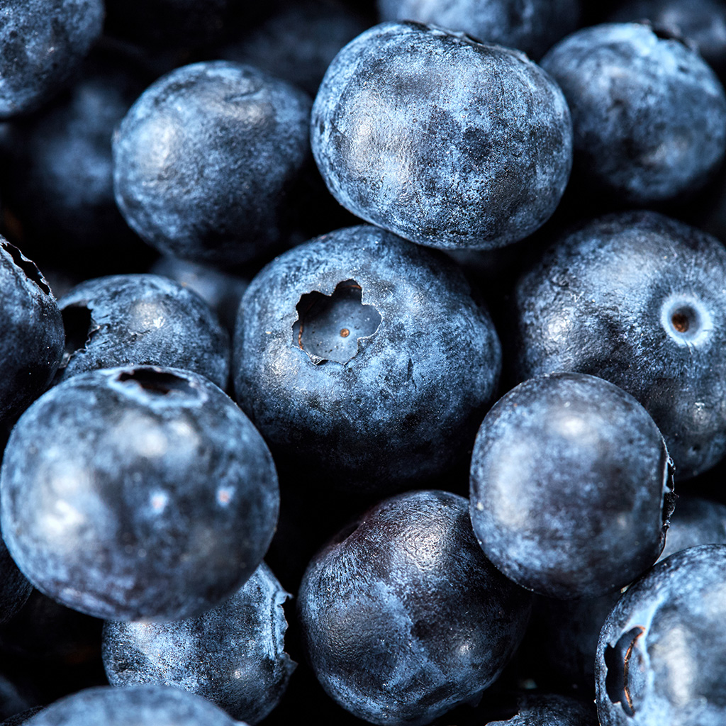 myrtille - fruits et légumes rungis pour les revendeurs