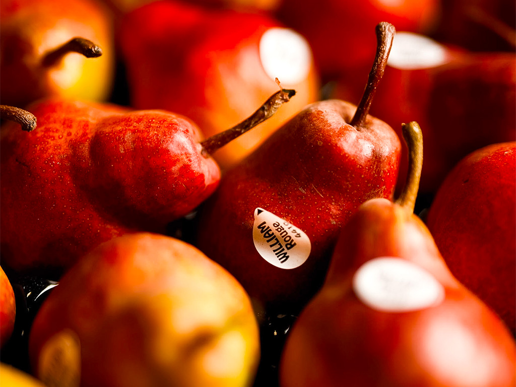 poires william rouge - primeur fruits et légumes rungis
