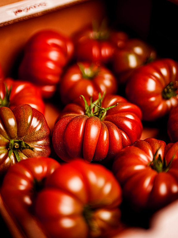 tomates pour la restauration - les jardins d'albert primeur rungis