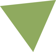 triangle vert 2