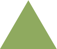triangle vert