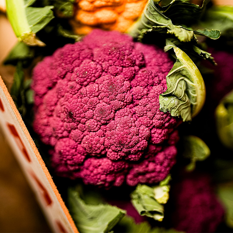 choux rouge grossiste fruits et légumes rungis