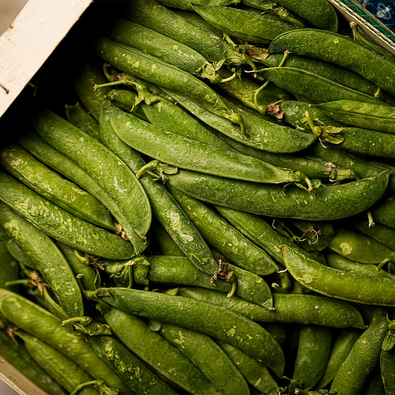 haricots frais grossiste fruits et légumes rungis