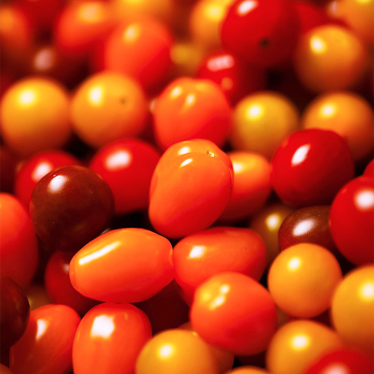 tomates cerises - fruits et légumes rungis