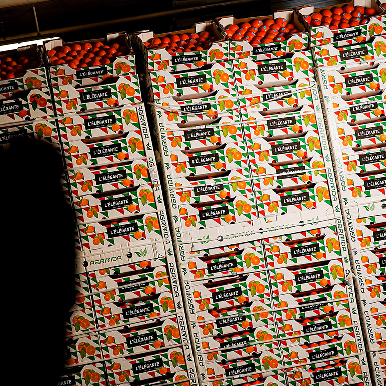 clémentine l'élégante - primeurs rungis oranges et agrumes