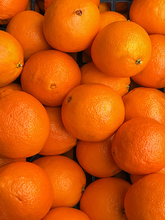 oranges - maison magnier primeur rungis